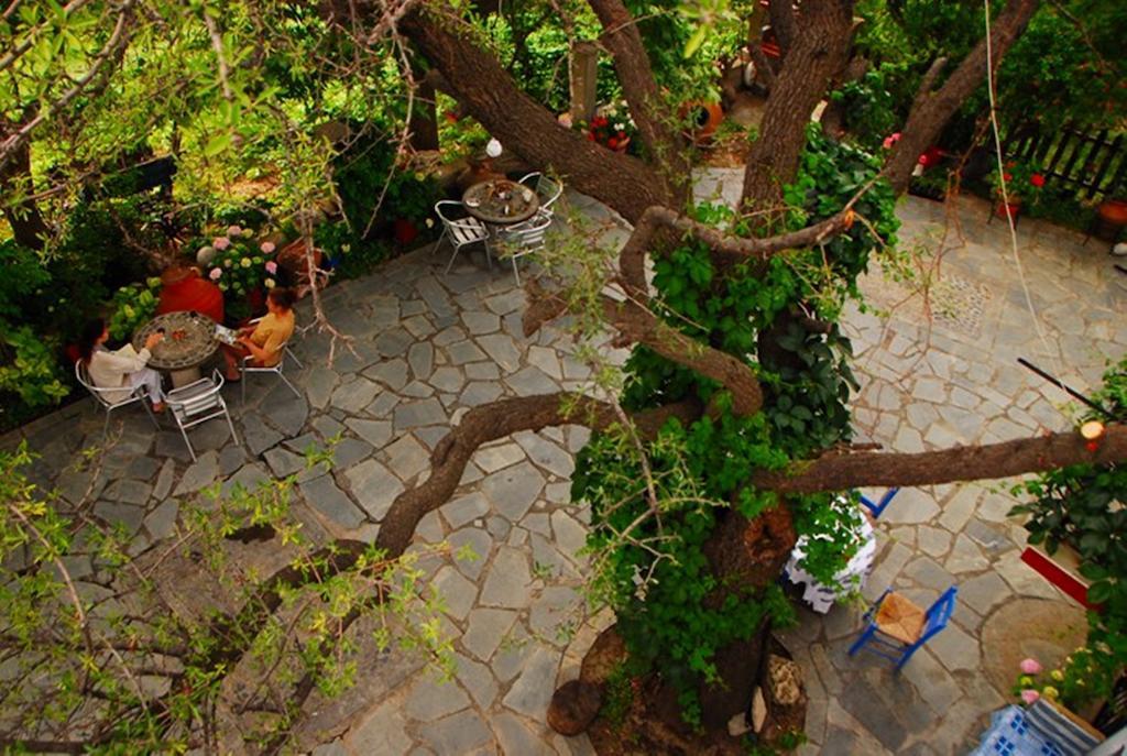 Kamariotissa Atzanou Rooms חדר תמונה